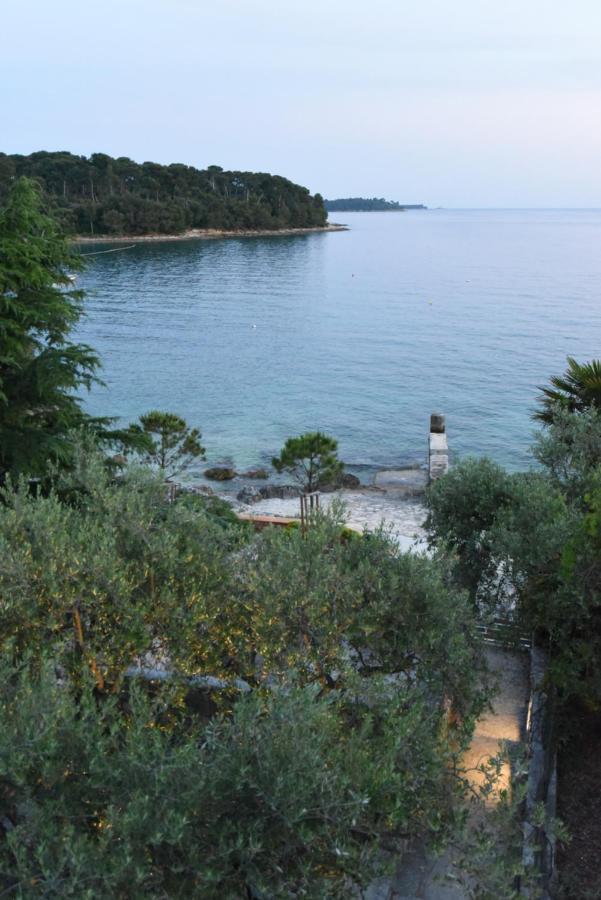 Buric House - M Suite - 95M2 And 54 M2 Terrace Rovinj Exteriér fotografie